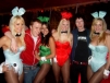 Sum41 2005 sum_41 (627).jpg